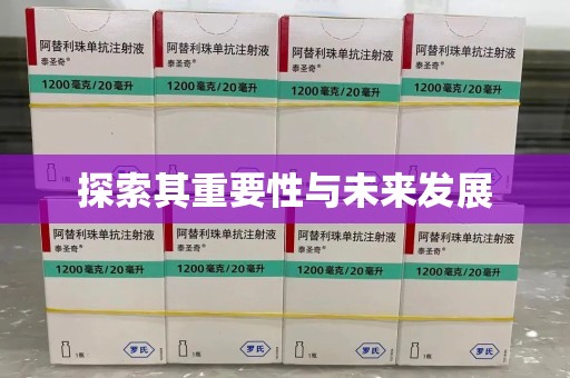 襄阳探索其重要性与未来发展